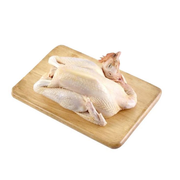 Ayam Pejantan -+ 1Kg Segar Per Ekor