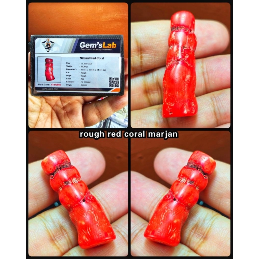 rough batu marjan super kuno full daging HQ