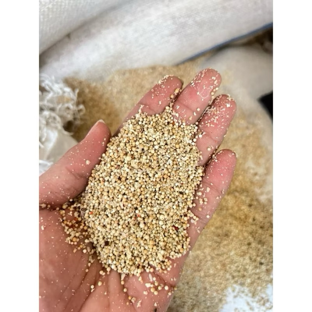 Pasir Bali Aquarium Aquascape 1kg Putih Kecoklatan