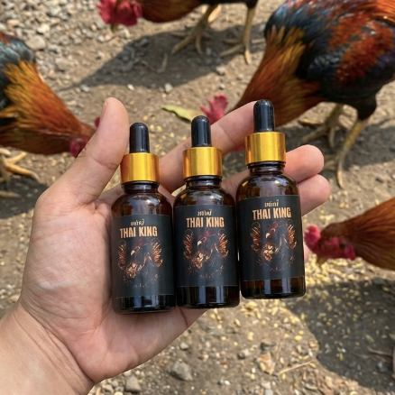 THAI KING Doping Ayam Laga 30 ML Bangkok Terbaik IMPOR THAILAND