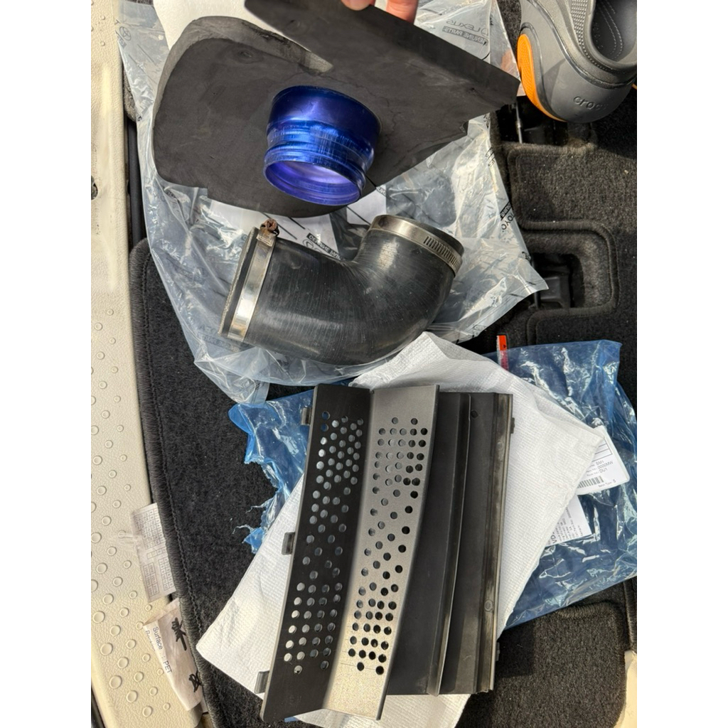 Belex sienta atau belalai extrim