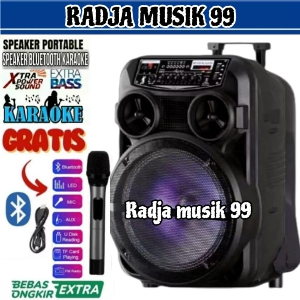 Speaker Karaoke Bluetooth Portable Full Bass Bonus Mic Ukuran Besar Salon Aktif Jumbo