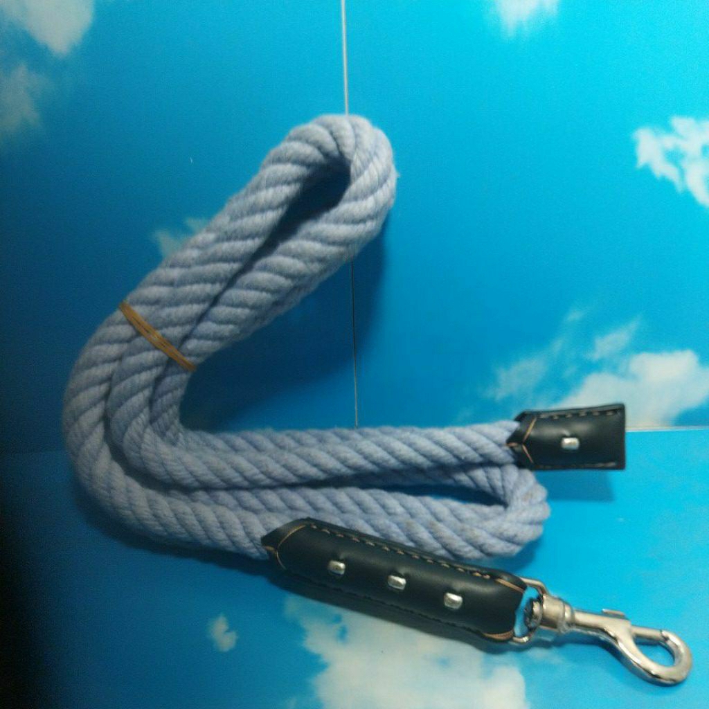 tali tuntun anjing besar