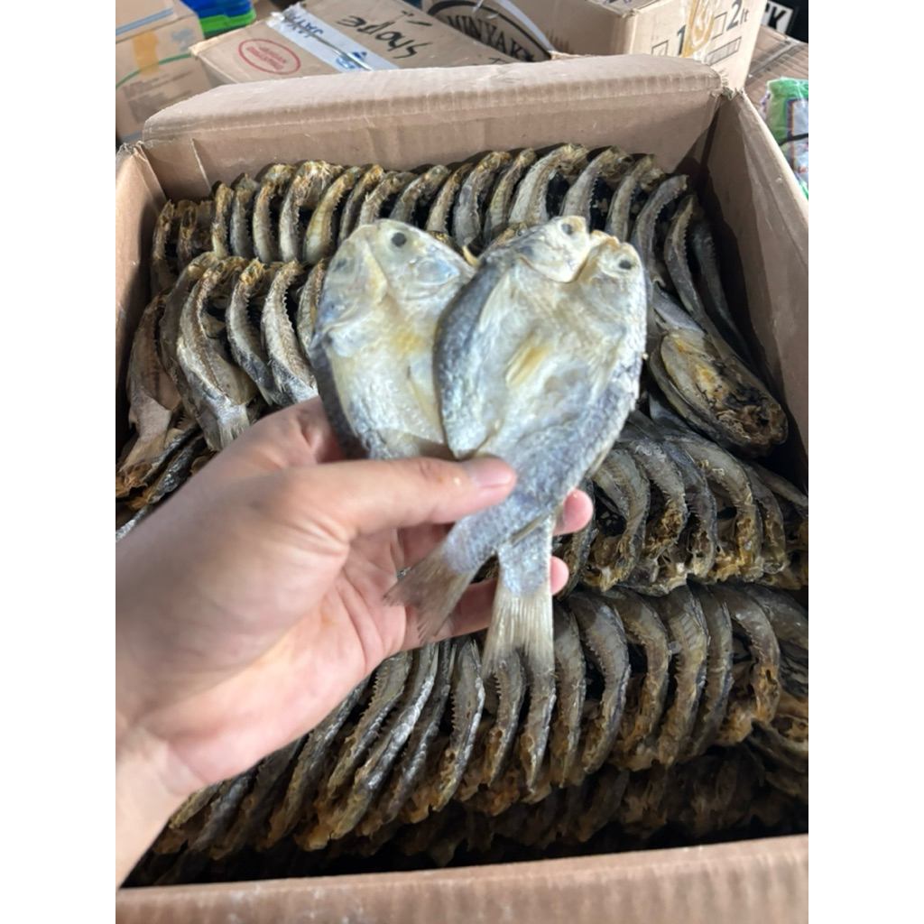 Ikan Asin Belanak Belah Kering Super