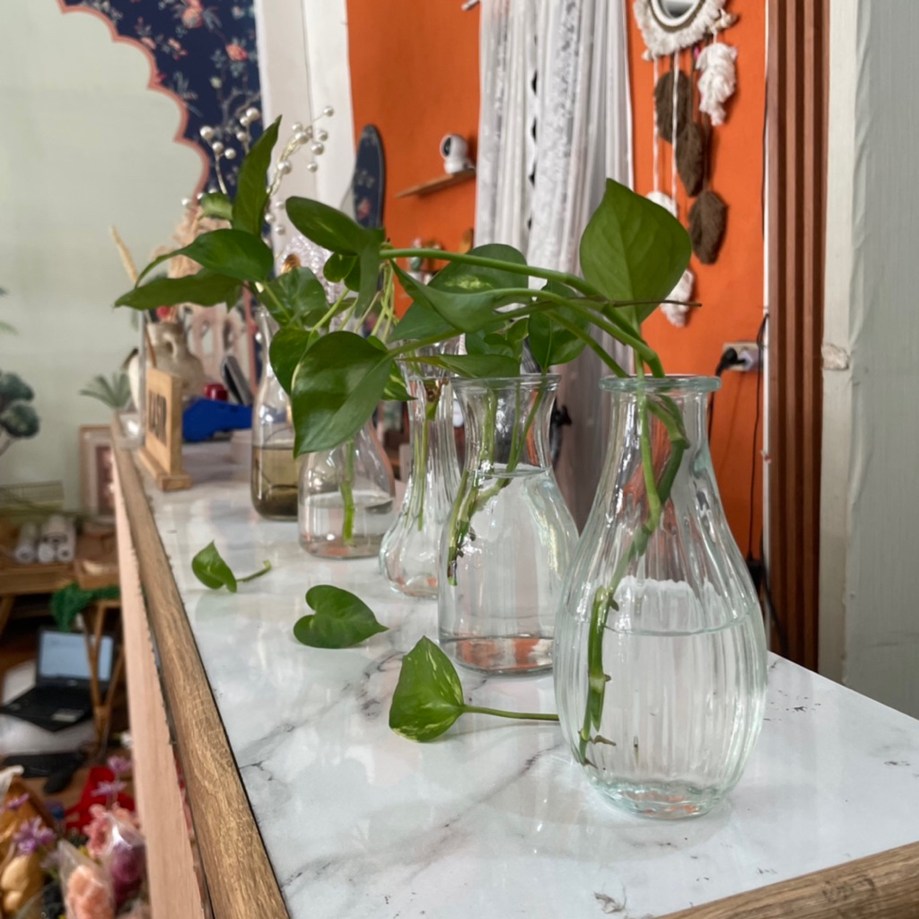 Pot/ Vas Kaca untuk Tanaman air/ Bunga Artificial