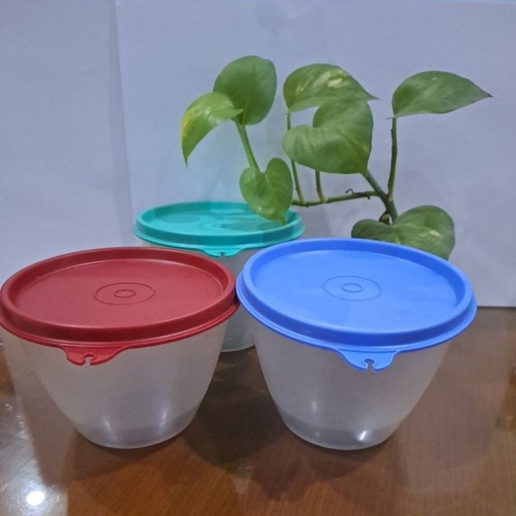New 1 Set Bumbu Tupperware