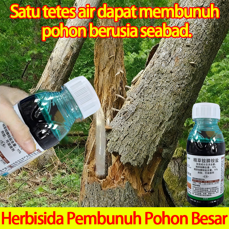 Racun Pohon Herbisida Pembunuh Pohon Besar Obat Pembunuh Bambu Mati Membunuh Pohon Besar Rumput Liar