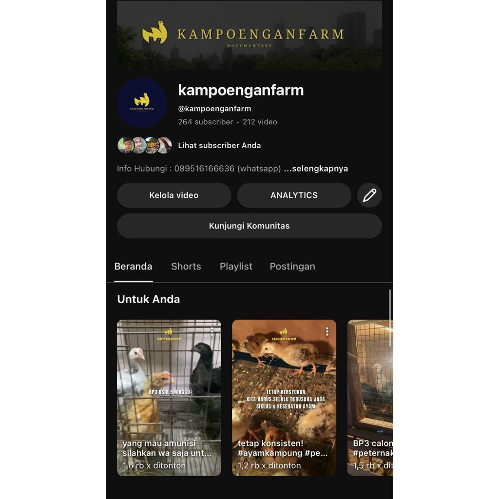 TELUR FERTIL BP3 & GARUDA “TRAH PERMUD” TELUR TETAS AYAM KAMPUNG SILANGAN