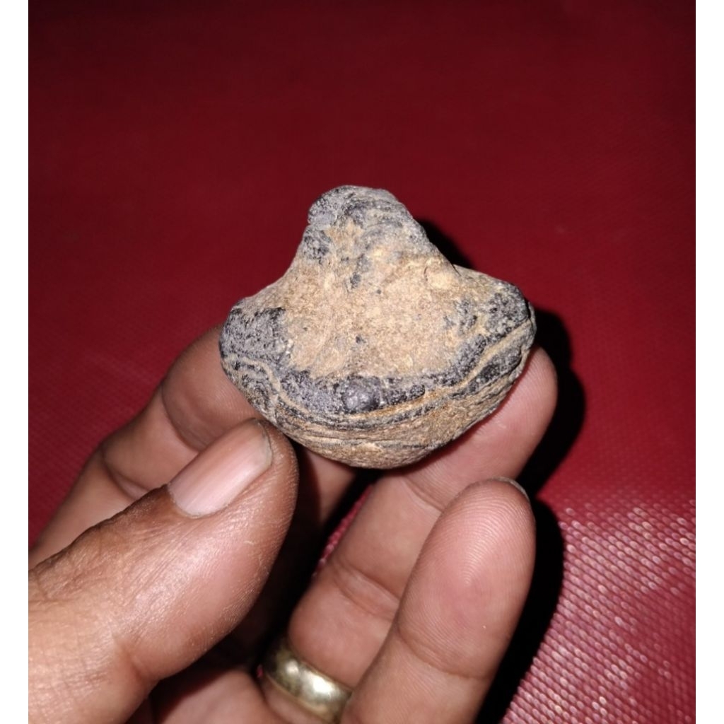 Bahan pamor puser bumi badar besi semeru lumajang asli bongkahan batu badar besi semeru unik antik u