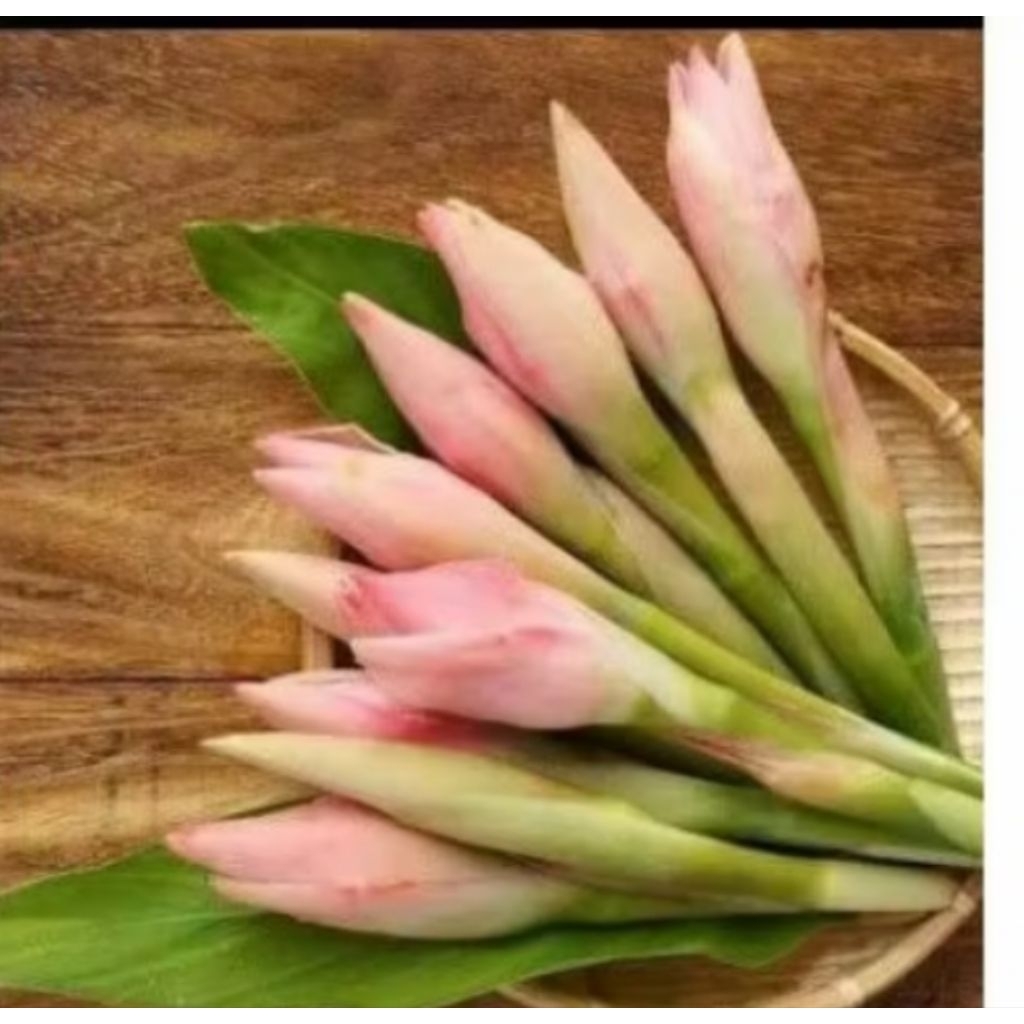 Bunga kecombrang/Rombeh bunga kecombrang segar