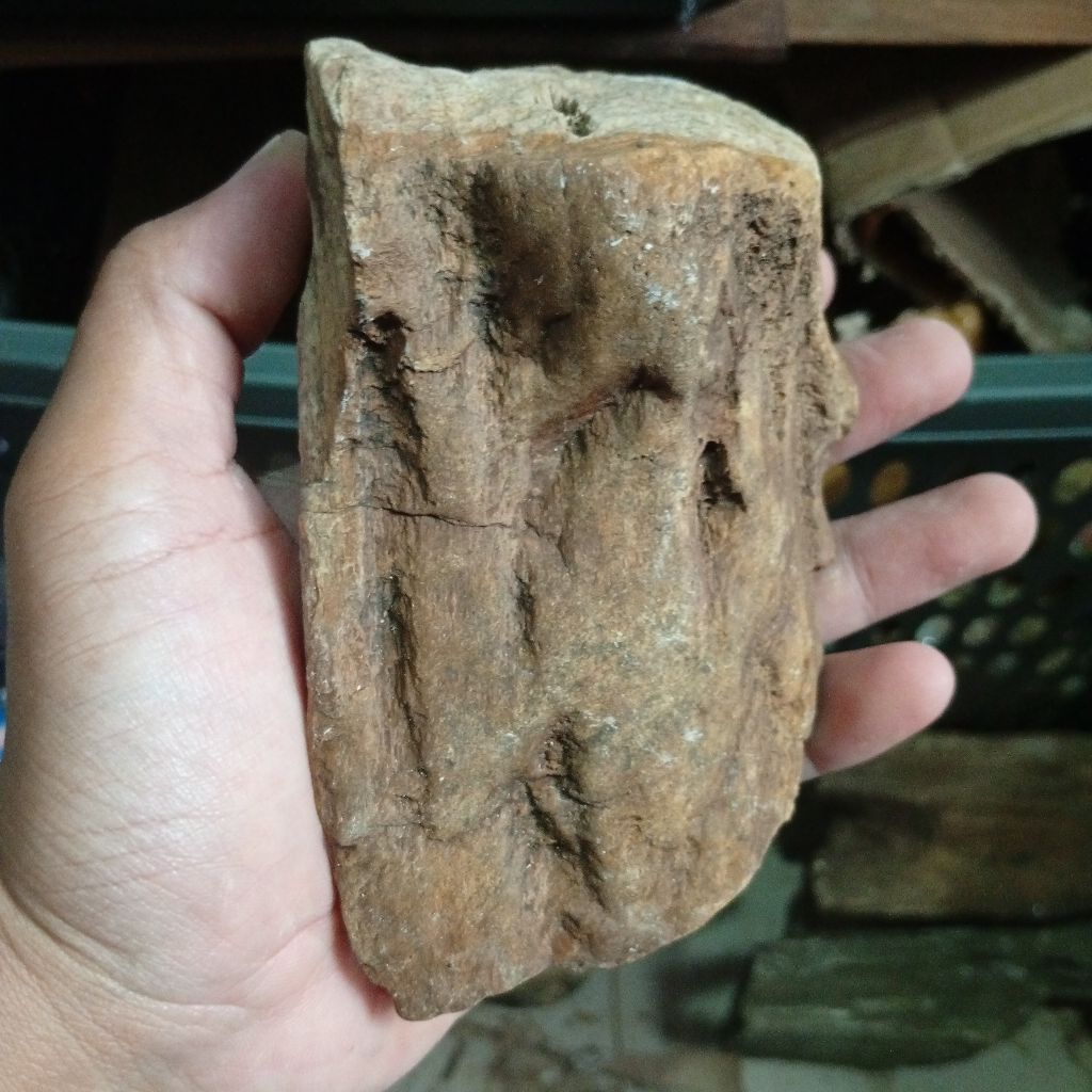 batu posil kayu pokay purba unik batu