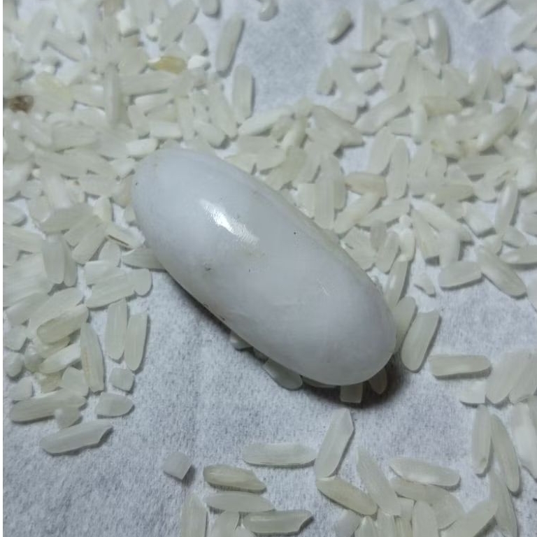 Batu cincin cempaka putih natural