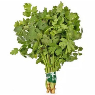 Daun ketumbar / Wansui segar