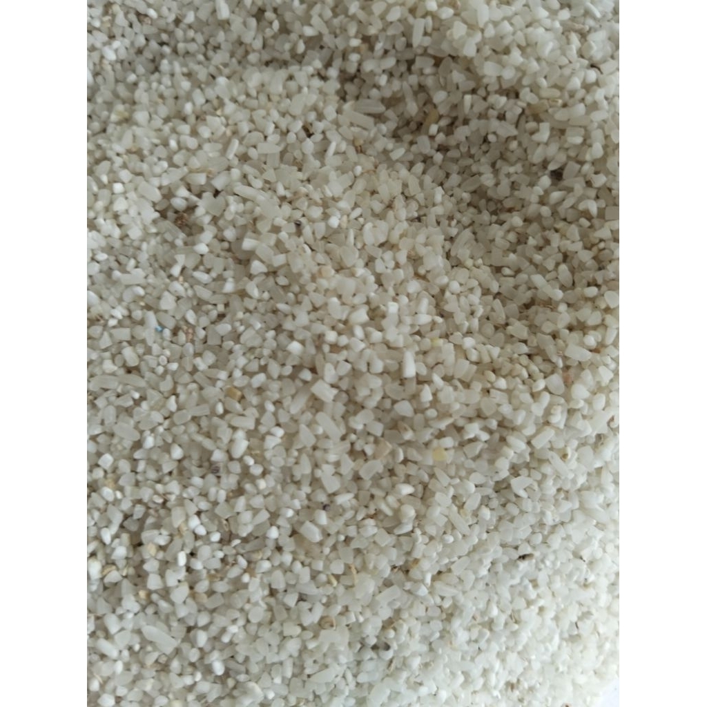 Menir Beras Bagus Bersih/Menir Tanggok