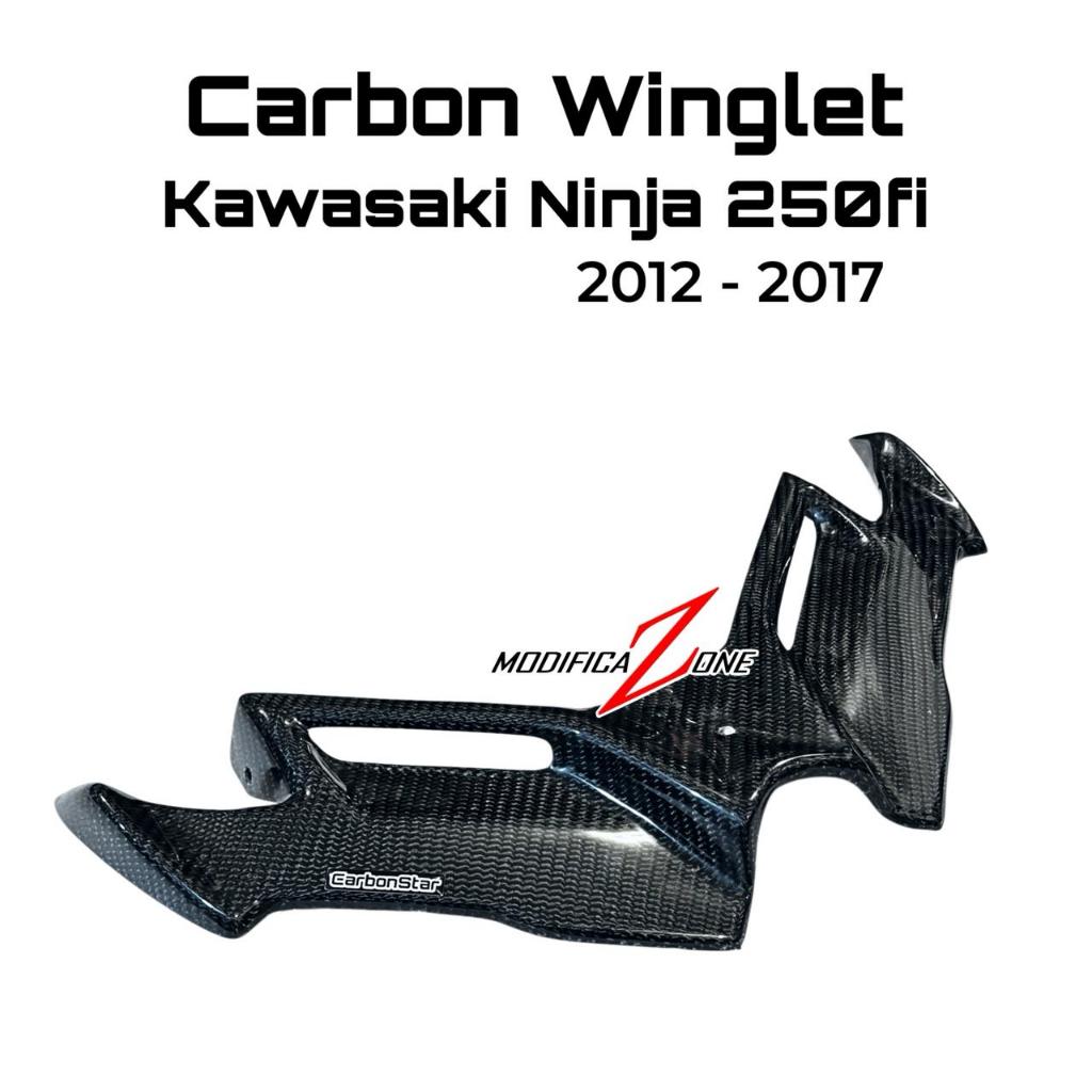 CarbonStar Winglet Carbon Kawasaki Ninja 250fi