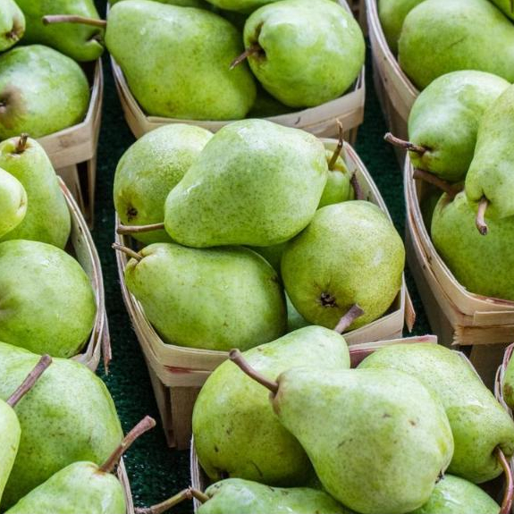 Green Pear 1 Kg | Pir Hijau 1 Kg