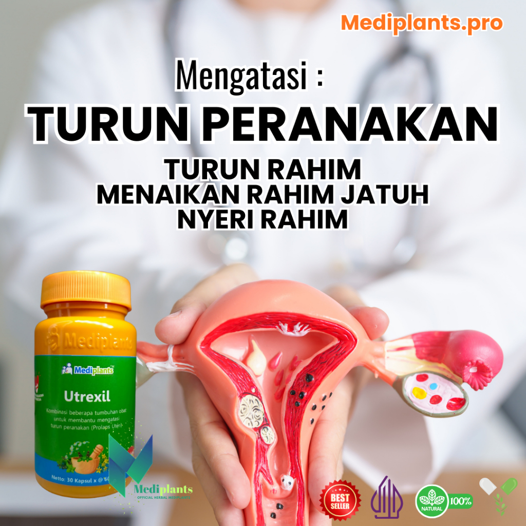 Mediplants Utrexil - Herbal Turun Peranakan - Obat Turun Rahim Nyeri Paling Ampuh - Original