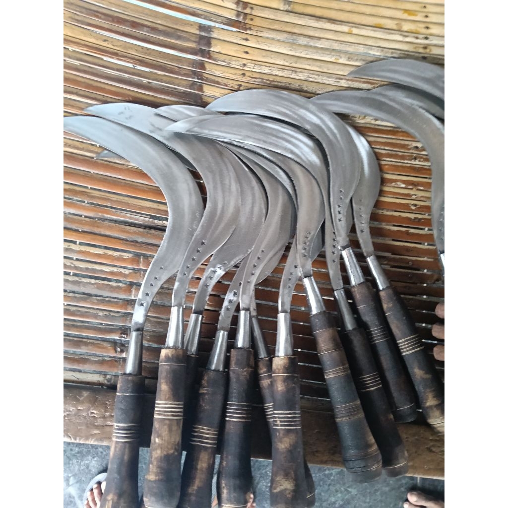 arit bintang5 Madura asli