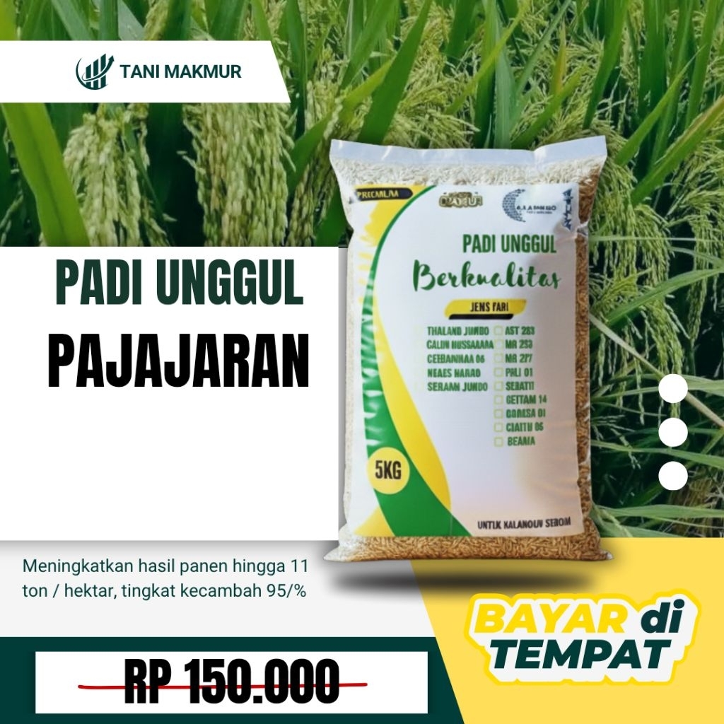 Benih padi unggul PADJAJARAN Original 5kg