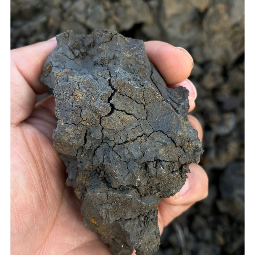 Tanah Liat Tanah Porang Hitam 1 KG Untuk Kerajinan dan Prakarya