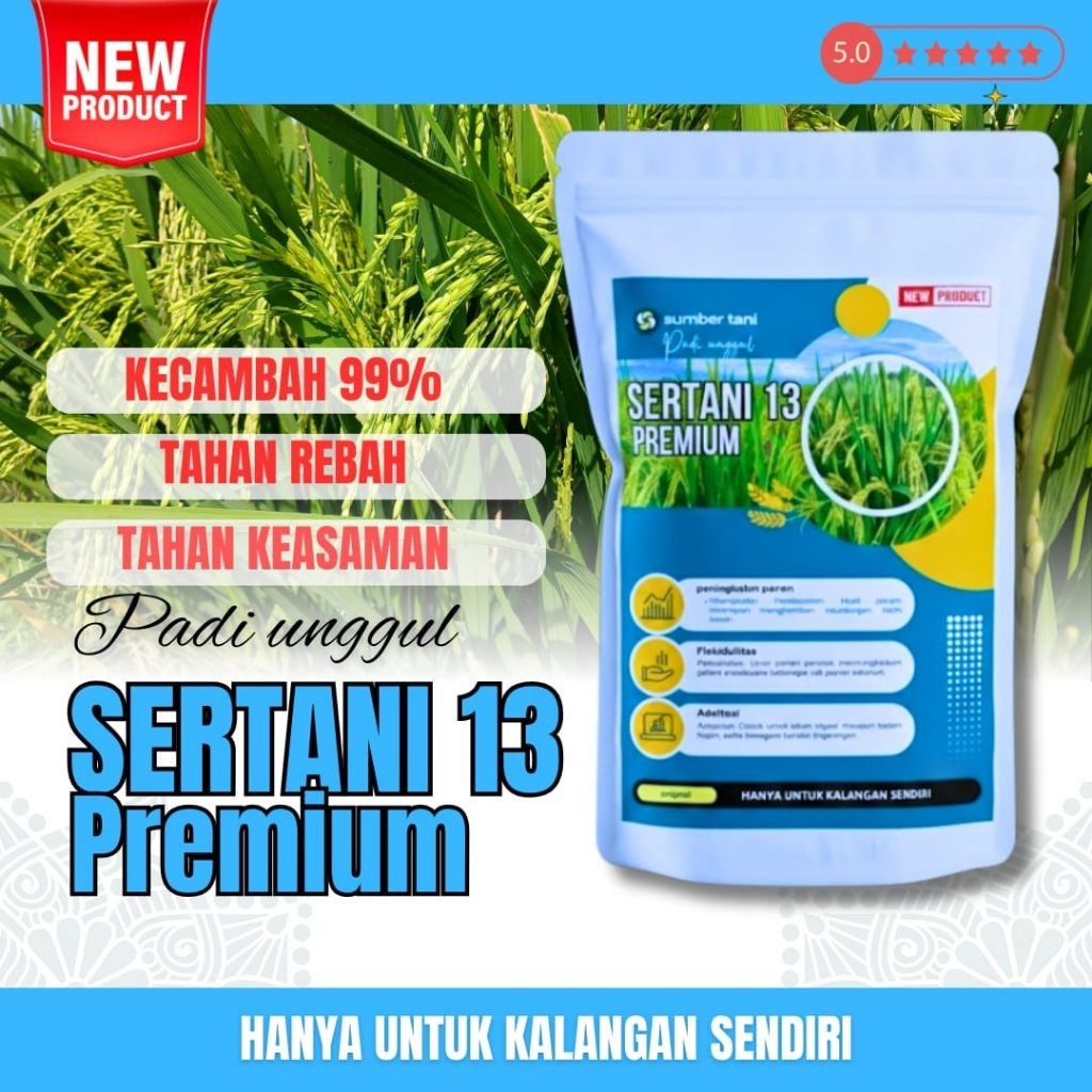 Benih padi unggul sertani 13 original ( BIBIT PADI UNGGUL SERTANI 13 )