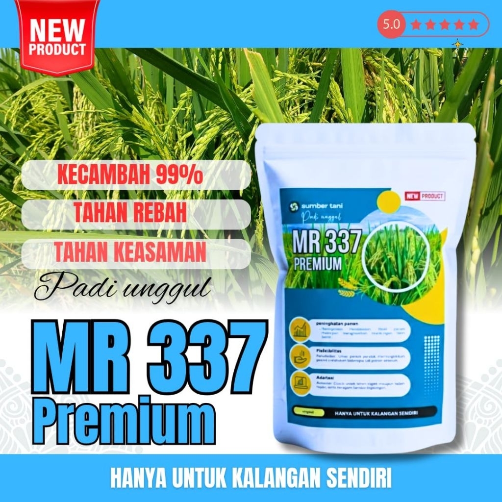 BIBIT BENIH PADI UNGGUL MR 337 1 KG ORIGINAL ( benih padi unggul mr 337 )