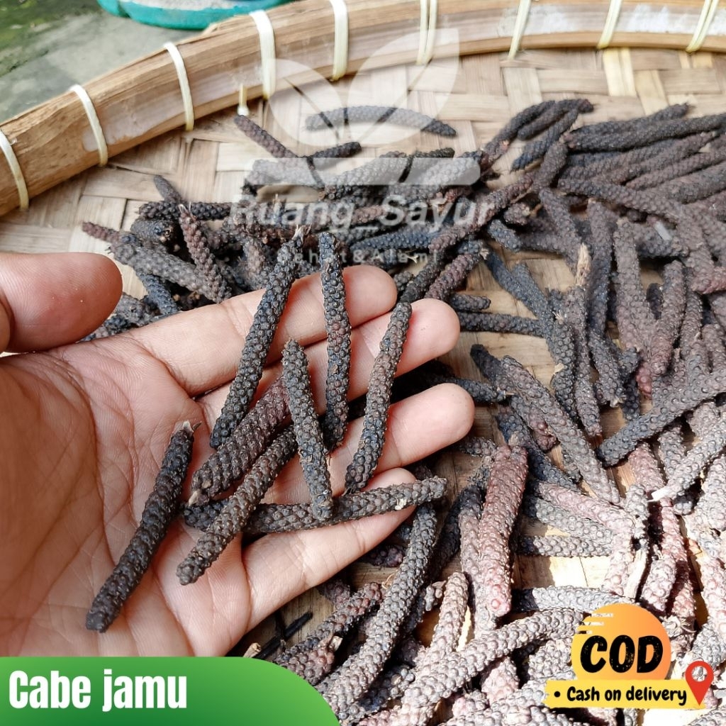 Cabe Jawa Kering , Cabe Jamu / Cabe Jawa , Cabe Jamu kering