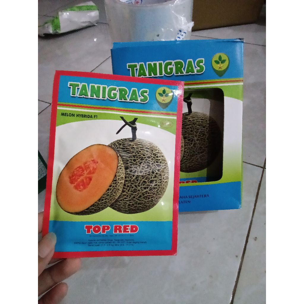 Benih Bibit Melon Top Red F1, Tipe Daging Merah kulit net buah tebal rasa manis (Tahan Virus) Isi 50