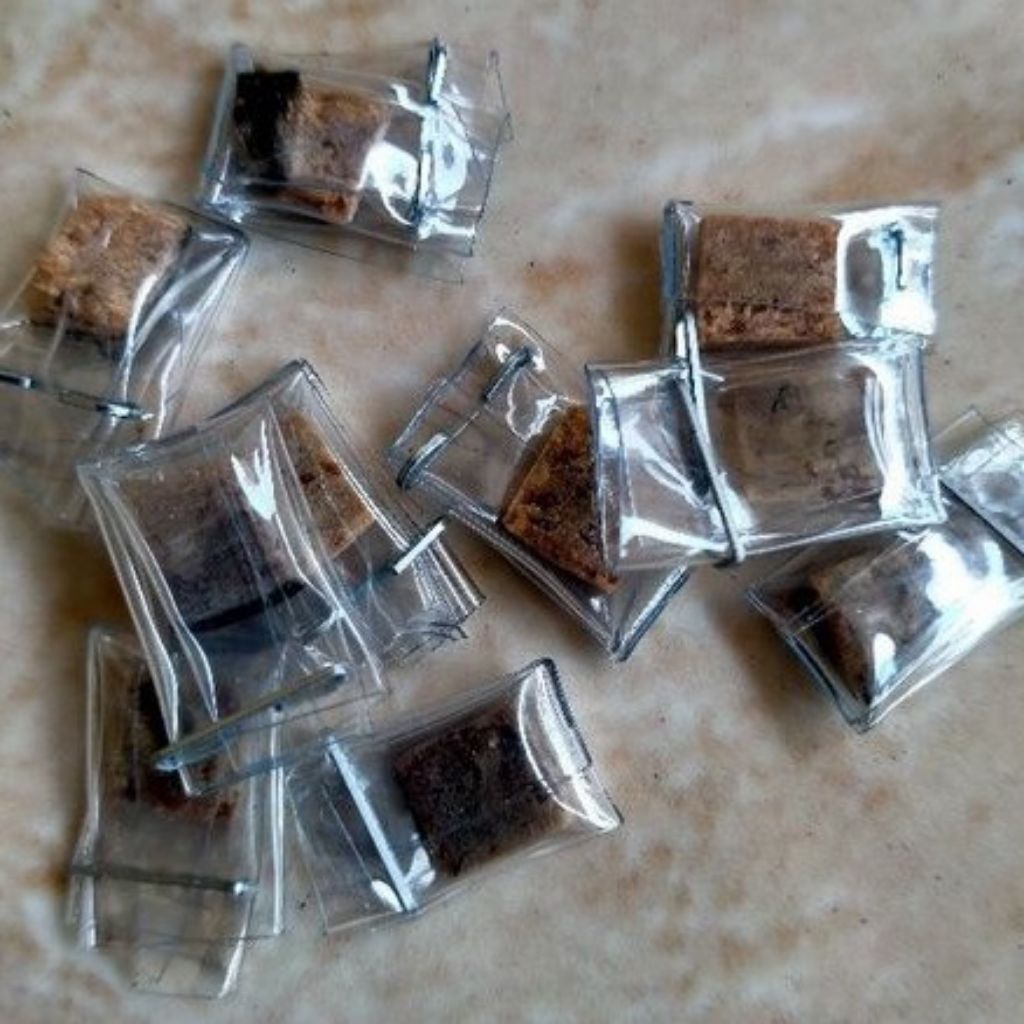 GAMBIR SIAM ASLI KALIMANTAN