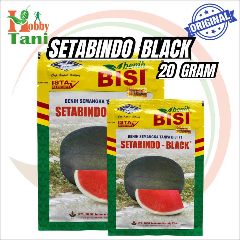 BENIH SEMANGKA - SETABINDO BLACK - BISI- 20 GRAM ISI 310 BUTIR KAPAL TERBANG