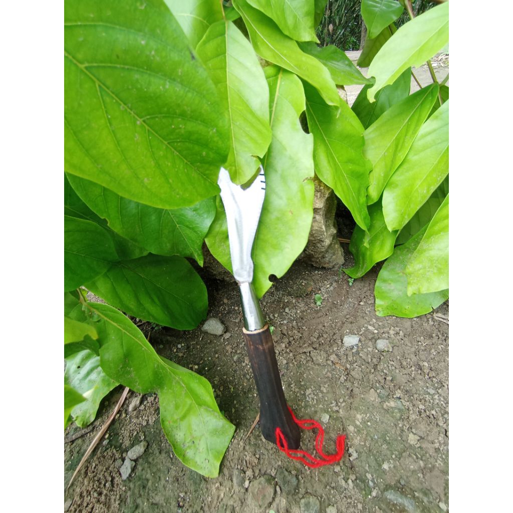 aret mini aret baja pisau mini alat kebun potongkangkung