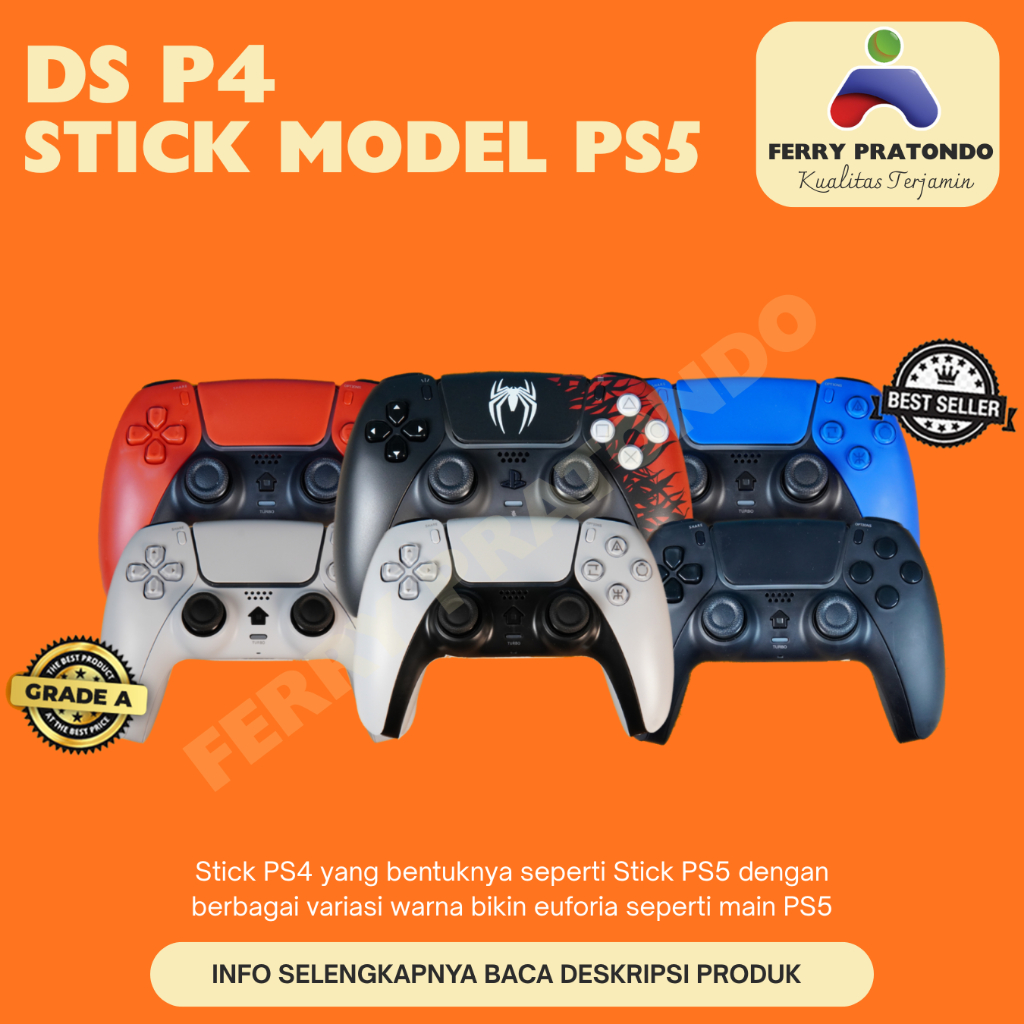 DS P4 Stick Model PS5
