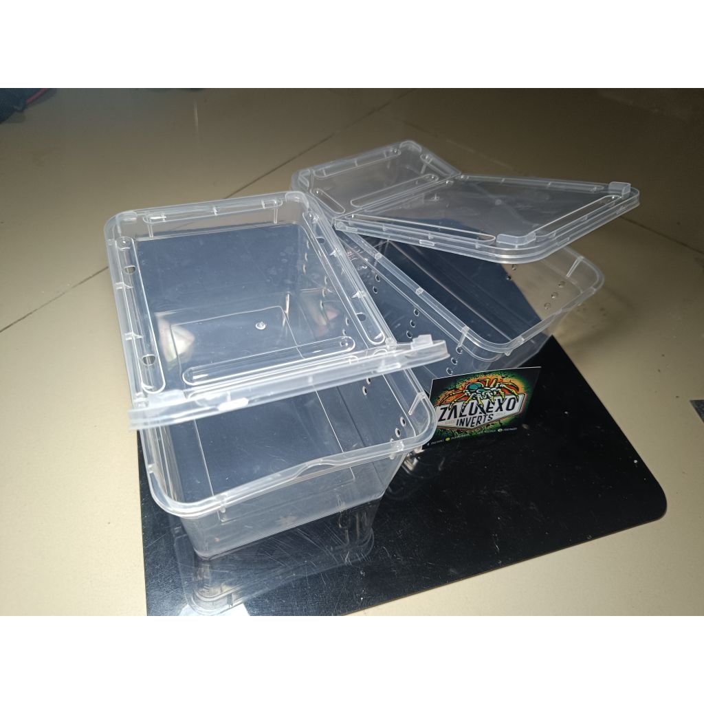 Kandang display enclosure medium untuk reptil kecil, pacman frog, tarantula, kalajengking dan insect