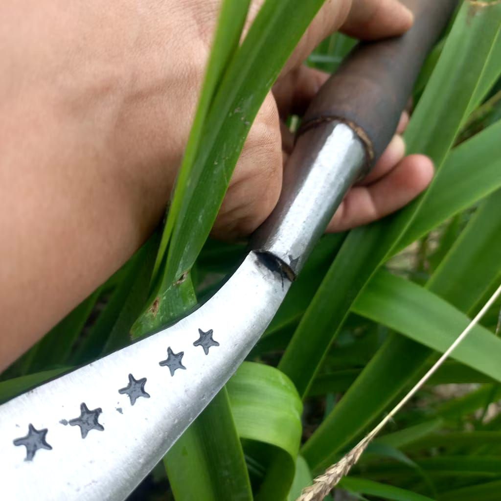 Arit terlaris merk bintang 5 asli Madura pemotong rumput padi ranting dll