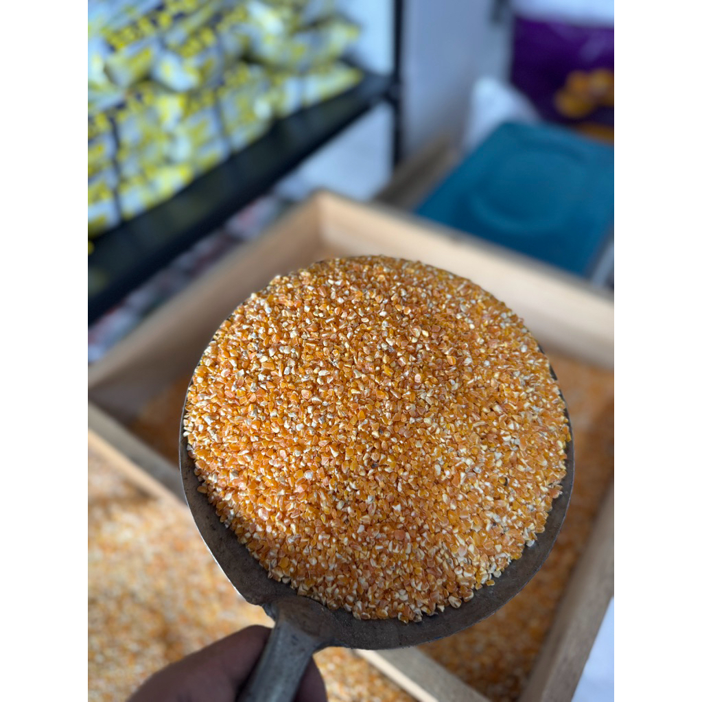 JAGUNG PECAH / JAGUNG GILING / MENIR JAGUNG