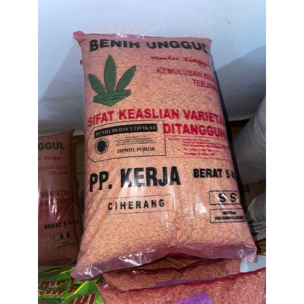 Benih padi CIHERANG INPARI 32 PP KERJA 1KG EXP MEI 2026