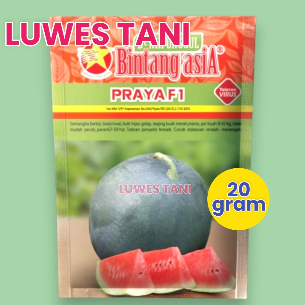 Benih Semangka Praya 20g Bulat Merah Manis