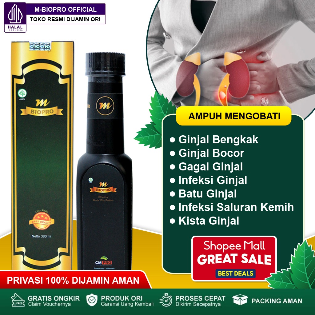 Obat Ginjal Bocor, Gagal Ginjal, Batu Ginjal, Kista Ginjal, Infeksi Ginjal, Ginjal Bengkak, Infeksi 