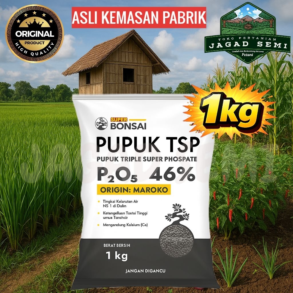ORIGINAL  1KG PUPUK TSP 46% PHOSPATE PRODUKSI ASLI MAROKO
