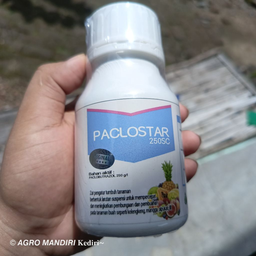 ZPT Paclostar 250SC Paclobutrazol 250ml