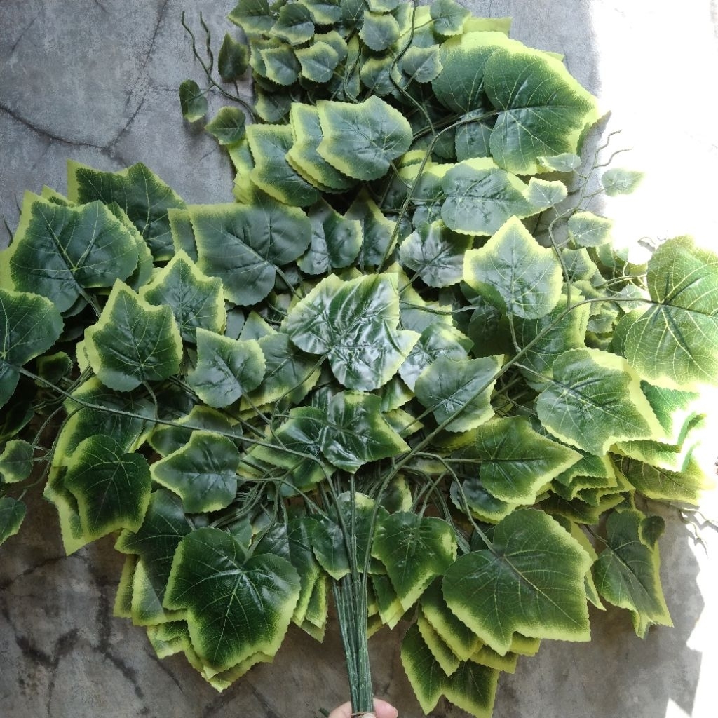 Daun Anggur Artificial 1 Lusin Premium Dekorasi
