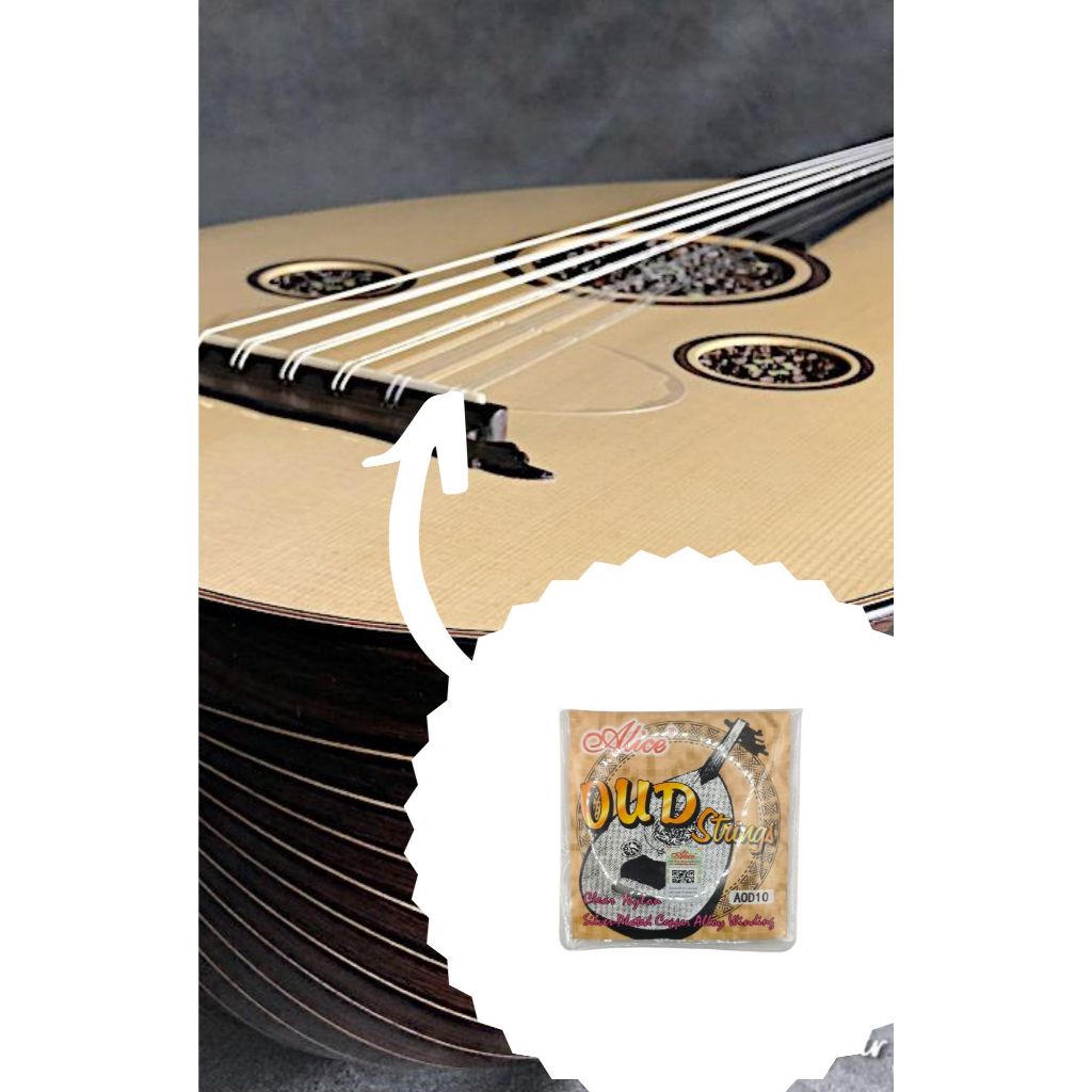 Senar String Gitar Guitar Oud Gambus Arab Alice AOD-10
