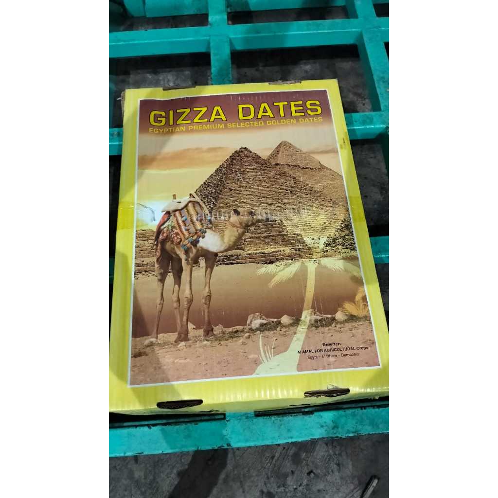 KURMA GIZZA DATES PER DUS 10KG