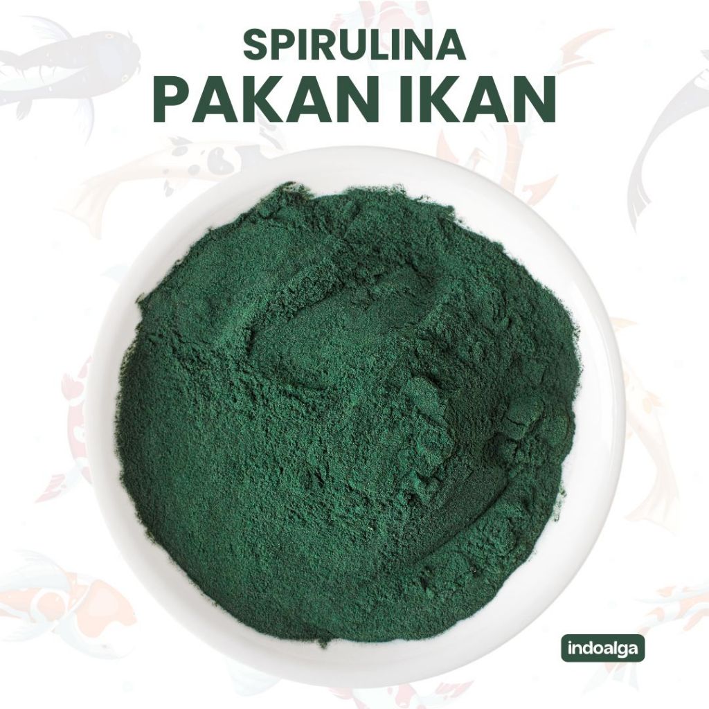 Spirulina Pakan Bubuk Pelet Ikan Organik | Spirulina Powder Pakan Udang | Spirulina Platensis