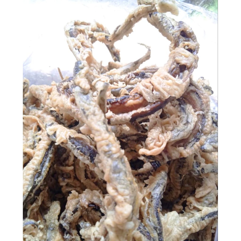 Oleh-Oleh Khas Jogja Keripik Belut Goreng Godean Empuk Renyah Kemasan 1 Kg