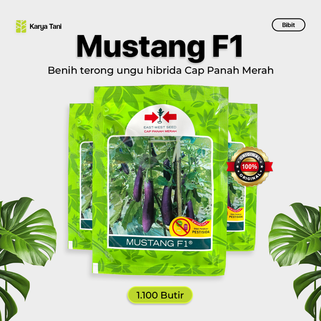 Benih Terong Mustang F1 Cap Panah Merah 1.100 Butir Terong Ungu Cap Panah Merah