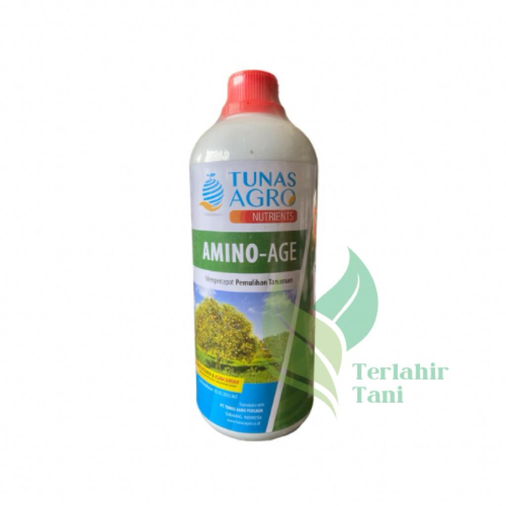 Amino Age Asam Amino 1 liter