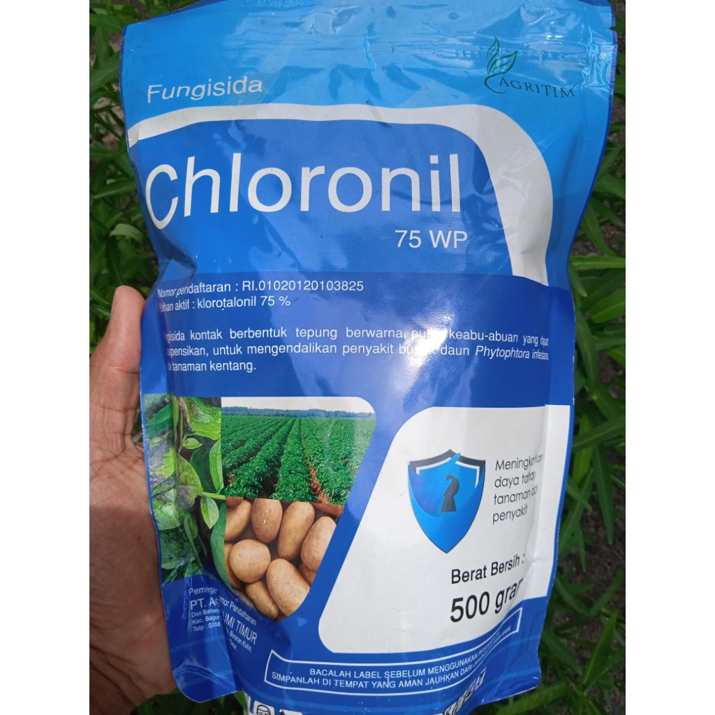 FUNGISIDA CHLORONIL 75WP 500GR/BAHAN AKTIF KLOROTALONIL 75%
