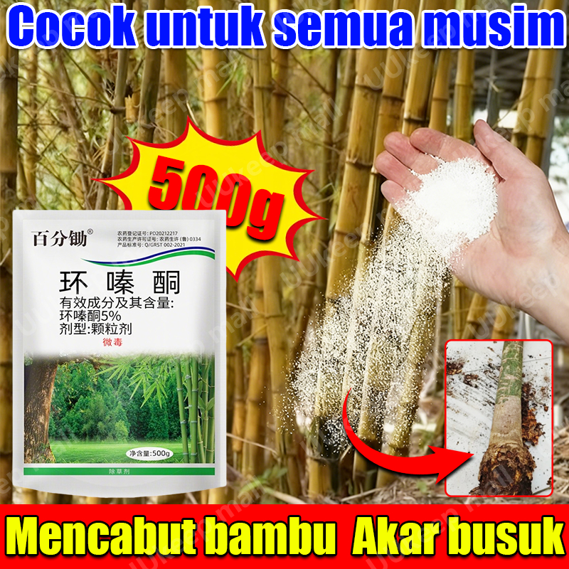 racun rumput paling ampuh pembasmi rumput liar racun bambu paling ampuh original racun pohon + akar 
