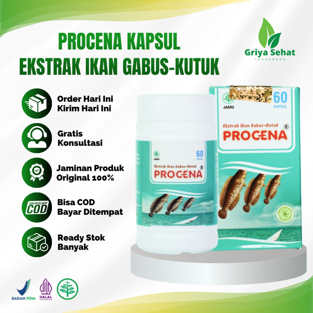 Procena Ekstrak Ikan Gabus Kutuk 60 Kapsul Penambah Albumin Obat Luka Pasca Operasi